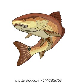 Redfish fishing illustration logo vector image t shirt