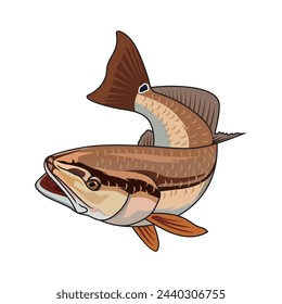 Redfish fishing illustration logo vector image t shirt