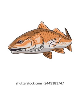 redfish fishing red drum fishing  illustration logo vector image t shirt