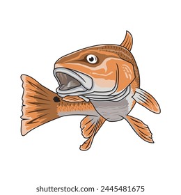 redfish red drum fishing illustration logo vector image t shirt