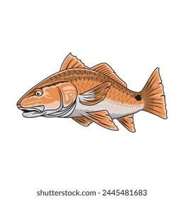 redfish red drum fishing illustration logo vector image t shirt