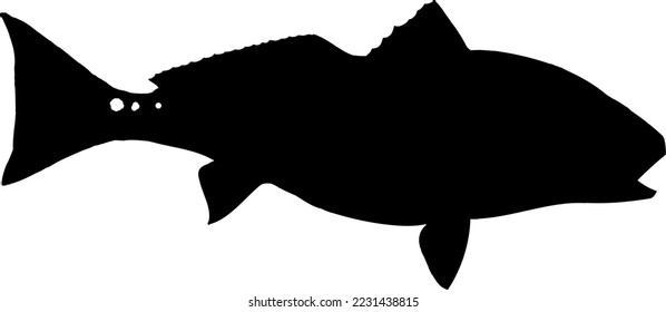 Redfish or Red Drum Silhouette 