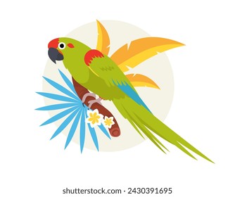 The red-fronted macaw is an endangered bird species. Bird, parrot. Rare. Vector flat illustration