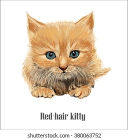 red-hair kitty