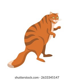 A red-haired cartoon cat walks on two paws, isolated on a white background.Vector illustration of a pet