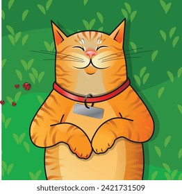 A red-haired cat lies on the grass