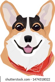 Red-haired dog Welsh Corgi with red bandage. Isolated vector hand draw illustration.