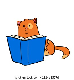 A red-haired fat cute cartoon cat reading a book. Cat looking into the book vector illustration.