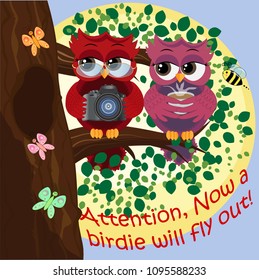 A red-haired owl wearing glasses and holding a camera sits on a tree with a friend-owl with coffee. Photo business, photographer, vocation, profession
