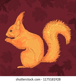 Red-haired squirrel on a dark background. Vector illustration of a cute furry forest animal.