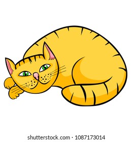 the redhead cat lies and looks  vector illustration