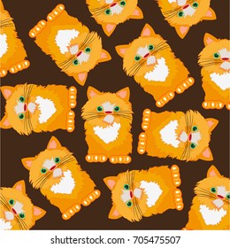 Redhead cat on white background is insulated