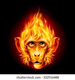 Redhead Fire Monkey isolated on black background