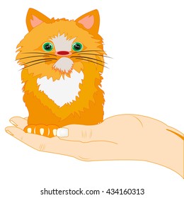 Redhead kitty on palm