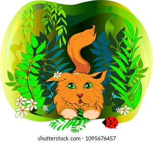 Redhead puppy in the grass with ladybug