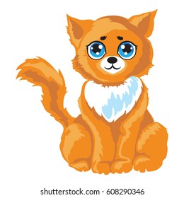 red-headed cat
