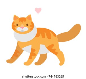 Red-headed cat
