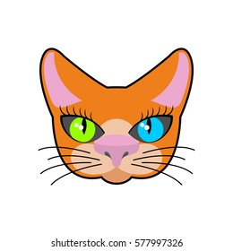 Red-headed cat face isolated. Pet on green background