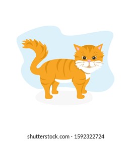 The redheaded cat smiles cute. Can be used as advertising, sticker, logo, icon.