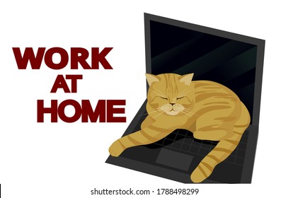 Redheaded lazy Cat Sleeping On Laptop Vector Illustration. Cat And Laptop, Concept White Isolated. Flat Cartoon. Home office. Work from home. Remote job. Work at home. Quarantine isolation. Freelance.