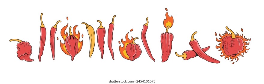 Red-hot vector chilies. Hand drawn pepper for menus websites and pepper recipes.