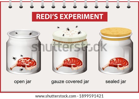 Redi's Experiment diagram for education illustration