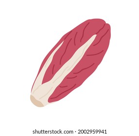 Red-leaf chicory head. Fresh radicchio icon. Endive vegetable. Raw food plant with magenta leaves. Flat vector illustration of natural veggie isolated on white background