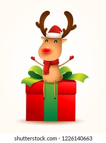 The red-nosed reindeer with gift present. Isolated.