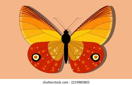 Red-orange butterfly on a light background with a shadow