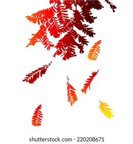 Red-orange falling leaves of acacia. Vector 