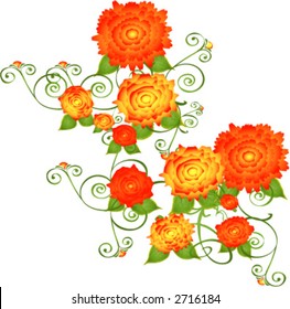 red/orange rose on vines
