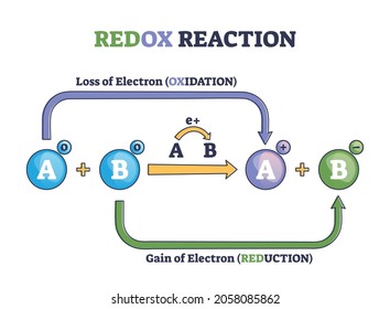 Redox reaction as atoms chemical oxidation states change outline diagram. Labeled educational explanation scheme with electron gain and loss in oxidation or reduction process vector illustration.