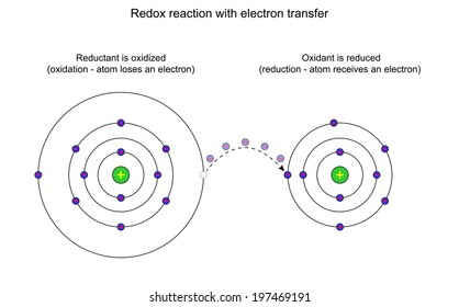 127 Redox reactions Stock Illustrations, Images & Vectors | Shutterstock