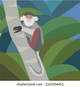 Red-shanked douc langur Illustration. Monkey clip art.