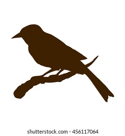 Redstart isolated on white background. Freehand black ink drawn image. Closeup side view with space for text
