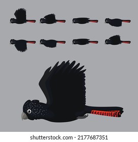 Red-Tailed Black Cockatoo Flying Animation Sequence Cartoon Vector