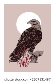 Red-tailed hawk resting vector illustration