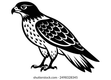 Red-tailed Hawk Silhouette Majestic Bird