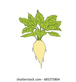 reduced sugar illustration, , white background
