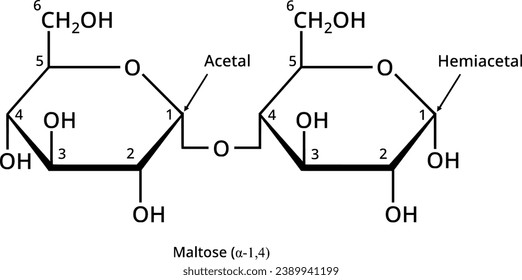 Reducing sugar maltose, disaccharide in biochemistry svg