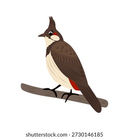 Pájaro bulbul de bigotes rojos. Ilustración vectorial plana aislada sobre fondo blanco. Lindo pájaro cantor asiático para la naturaleza, la vida silvestre, la educación y el diseño de los niños.