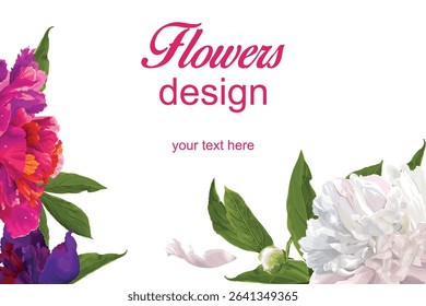 red,white and purple peonies with green leaves and white petal on a white background.Close-up, isolated.A design element.drops of water