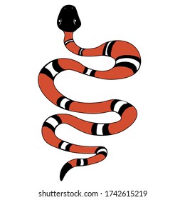 red-white-black snake on a white background