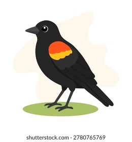Red  winged blackbird