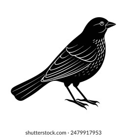 Red-Winged Blackbird Silhouette Vector Illustration