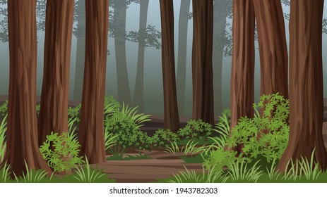 Redwood Forest Vector Landscape With Fog