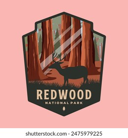 redwood national park patch logo vector symbol illustration design, california forest landmark emblem template