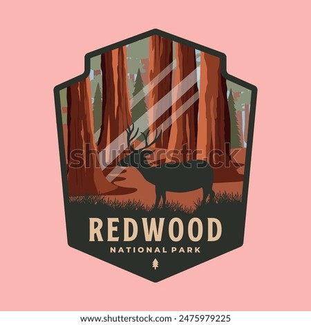 redwood national park patch logo vector symbol illustration design, california forest landmark emblem template