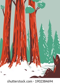 Redwood National And State Park During Winter With Coastal Redwoods Located Northern California WPA Poster Art 