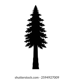 redwood Tree Silhouette on White Background